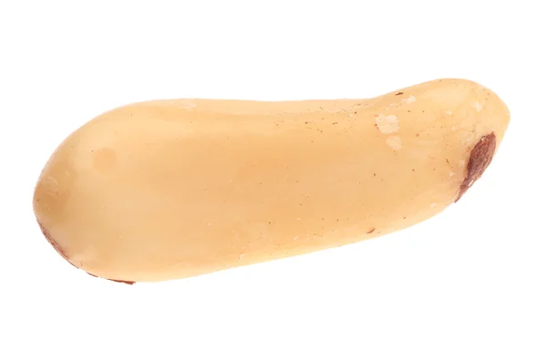Çam fıstığı — Stok fotoğraf