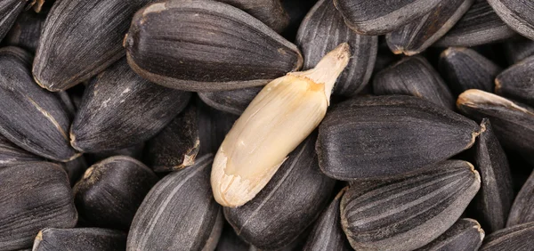 Black sunflower seeds — Stock Photo, Image