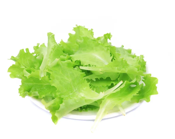 Fresh lettuce on plate — Stock Photo, Image