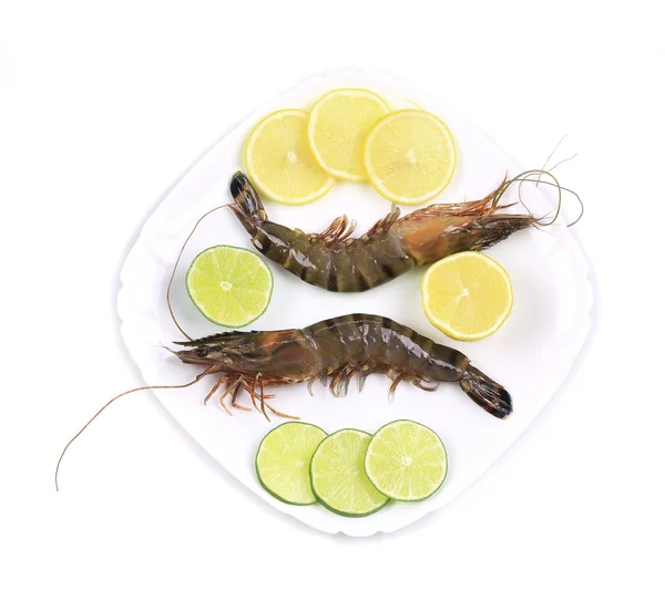 Raw tiger shrimps on plate — Stock Photo, Image