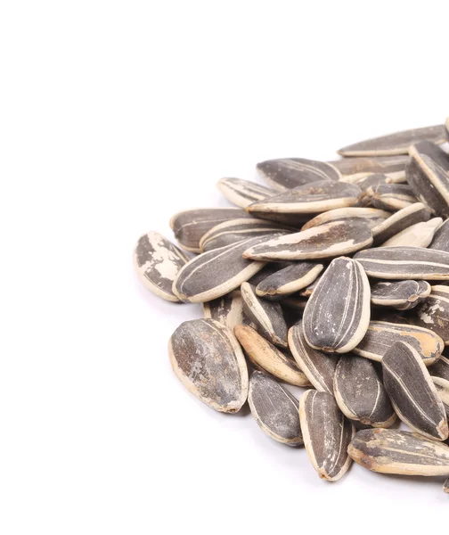 Bunch of sunflower seeds — Stock Photo, Image