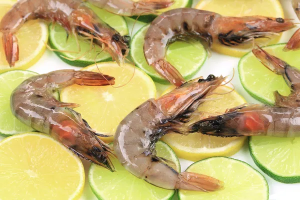 Shrimps with lemon and lime — Stock Photo, Image