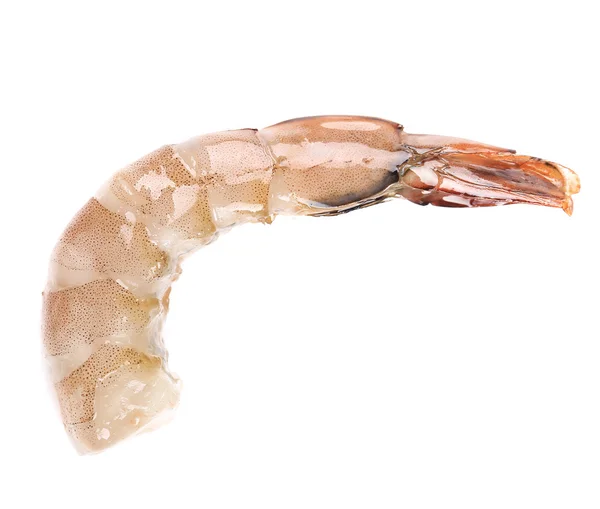 Un camarón crudo —  Fotos de Stock