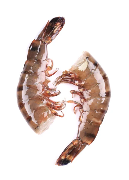 Two raw shrimps — Stock Photo, Image