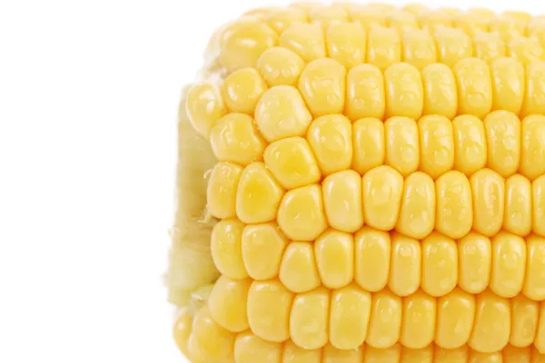 Farok-főtt kukoricát — Stock Fotó