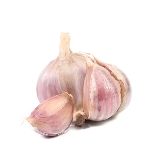 Ganzer Knoblauch — Stockfoto