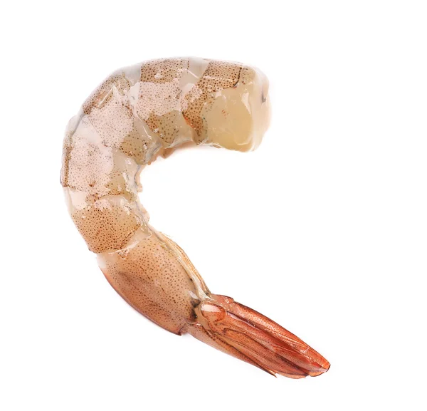 Raw shrimp — Stock Photo, Image