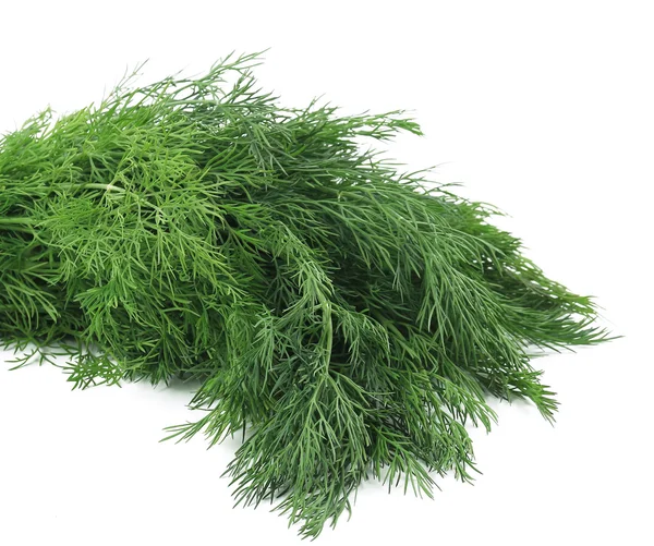Mazzo di aneto fresco erba — Foto Stock