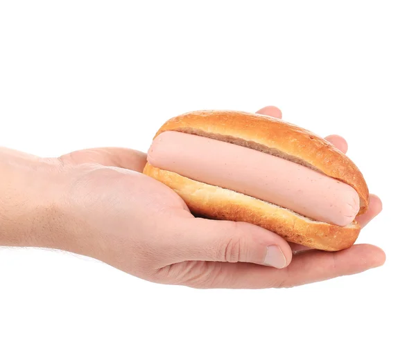 Hot dog fresh in hand — Stock Photo, Image