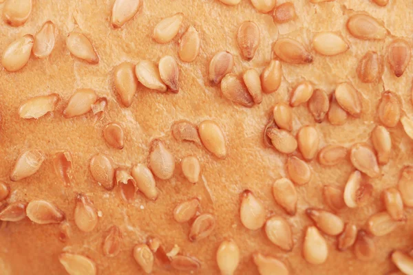 Bun with sesame seeds — Stock Photo, Image