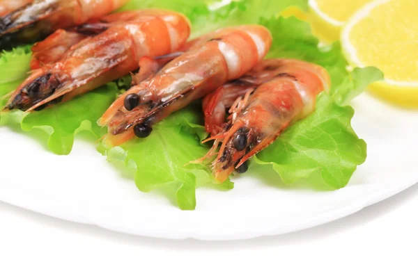 Shrimps with lemon — Stock Photo, Image