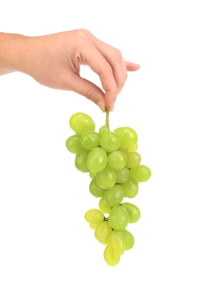 Green ripe grapes in hand. — Stock Photo, Image