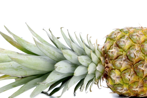 Färsk hel ananas — Stockfoto