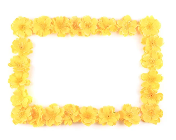 Obramowanie utworzone przez kwiaty artificails — Zdjęcie stockowe