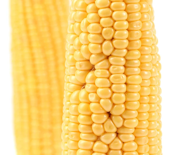 Grains of ripe corn — Stock Photo, Image