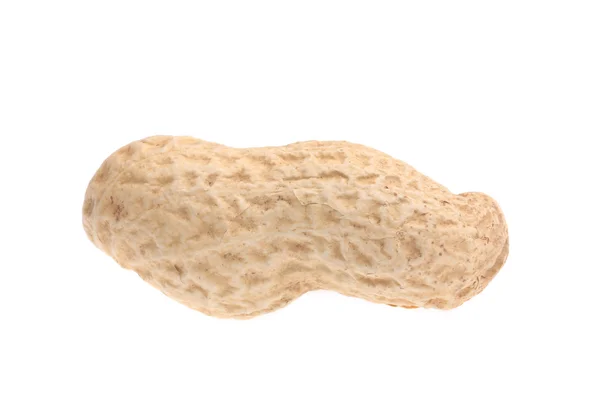 Amendoim em branco — Fotografia de Stock