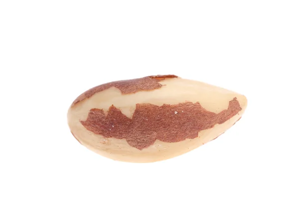 Brazil nuts — Stock Photo, Image