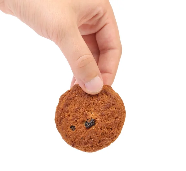 Cookie avec des morceaux de chocolat à la main — Photo