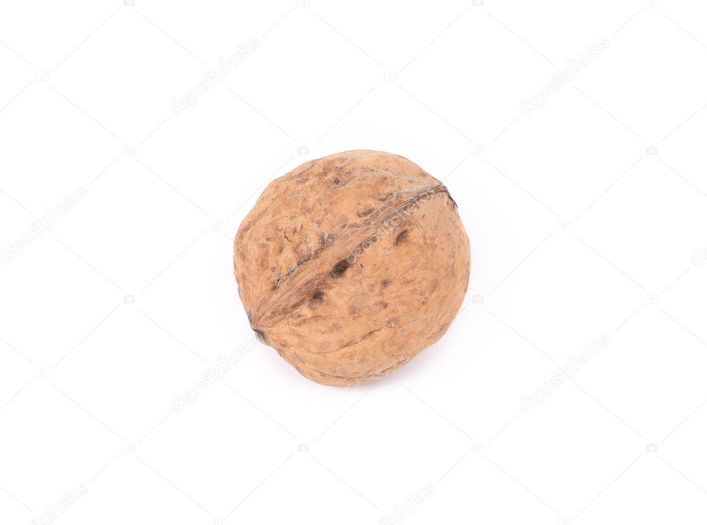 Single walnut