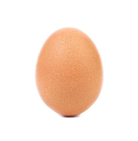 One Egg — Stock Photo, Image