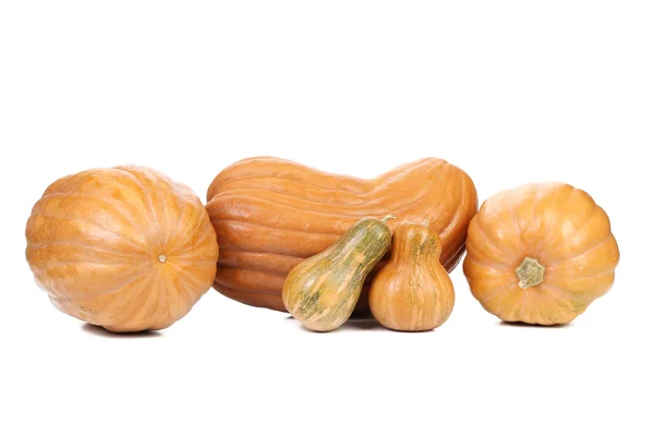 Orange pumpkins — Stock Photo, Image