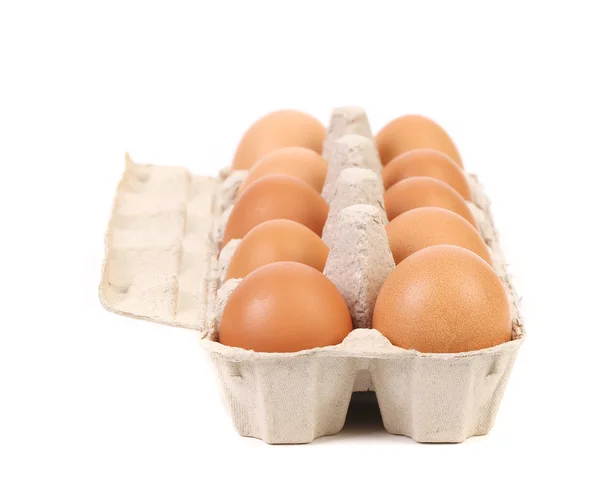 Egg box with ten eggs — Stock Photo, Image