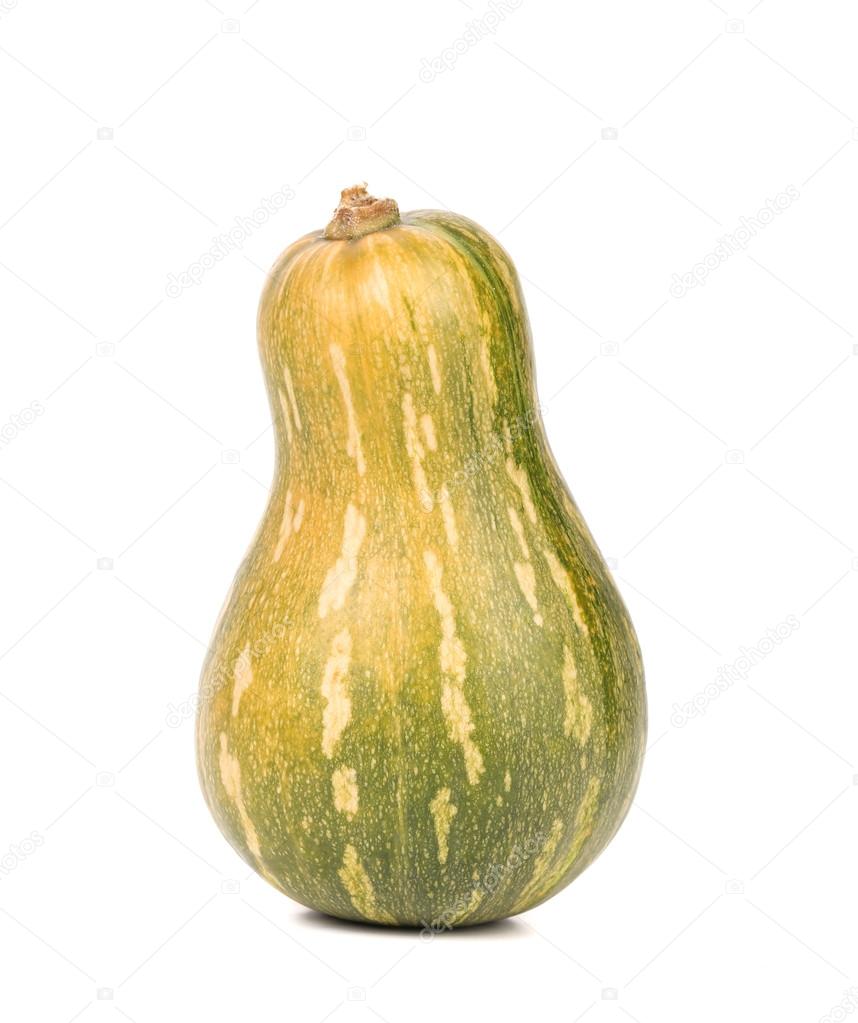 small green  pumpkin
