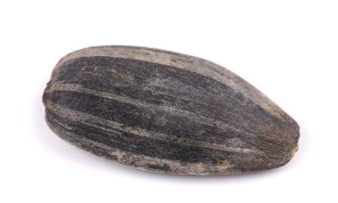 bir ayçiçeği tohumu