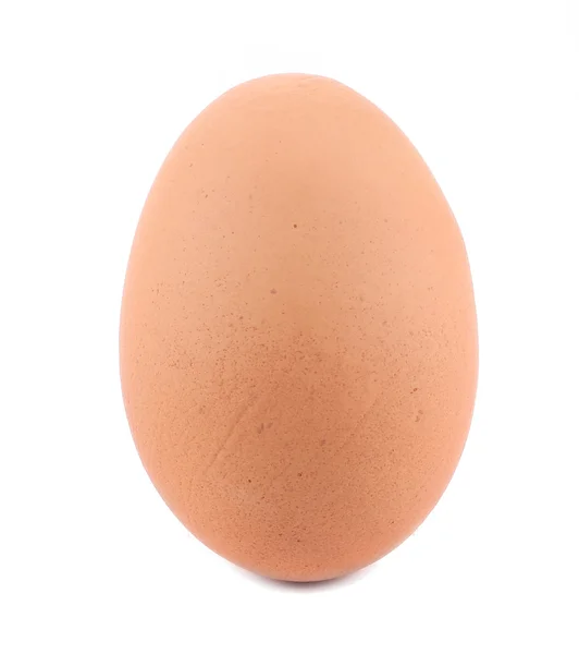 Et æg - Stock-foto