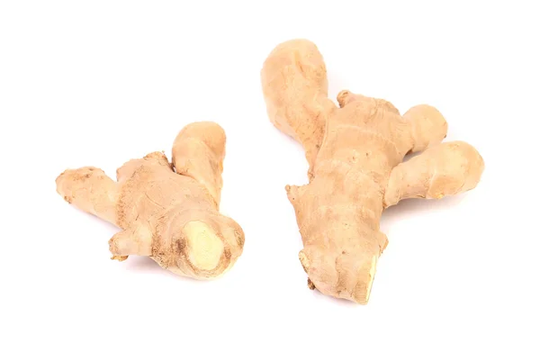 Two Root ginger — Stock Photo, Image
