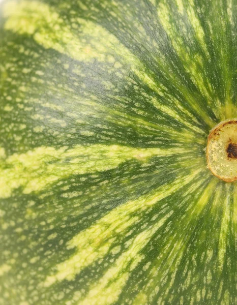 Backgraund watermelon — Stock Photo, Image