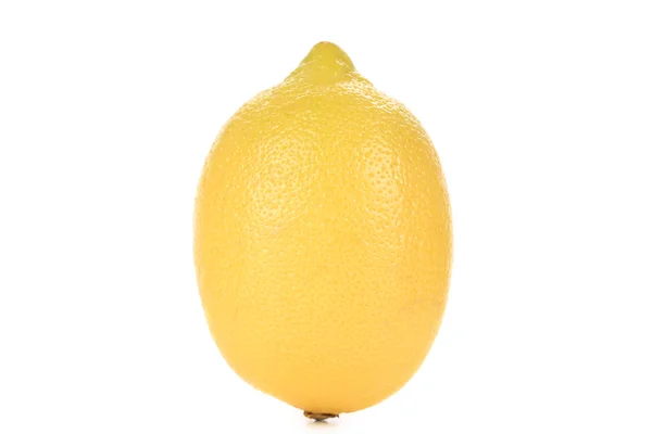 Limón sobre un blanco . —  Fotos de Stock