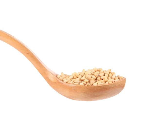 Pine nuts in spoon — Stock Photo, Image