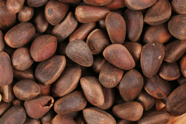 Lot of pine nuts — Stock Photo, Image