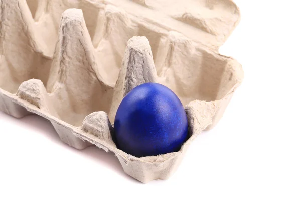 Egg box with one blue easter egg — Stock Photo, Image