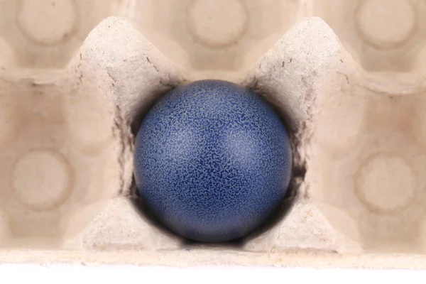 Caja de huevos con un huevo de Pascua azul oscuro — Foto de Stock
