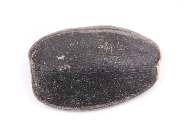 Uma semente de girassol — Fotografia de Stock