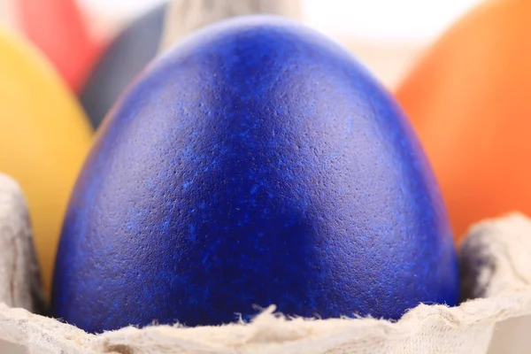 One blue easter egg at cardboard — Stock Photo, Image