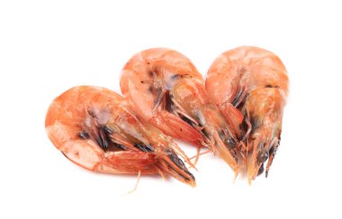 Üç taze haşlanmış karides.