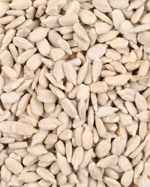 Background of sunflower seeds. — Stock Photo, Image