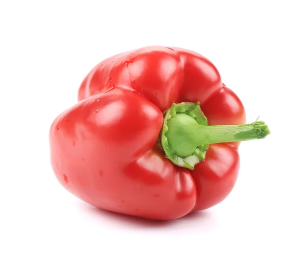 Sweet red pepper. — Stock Photo, Image