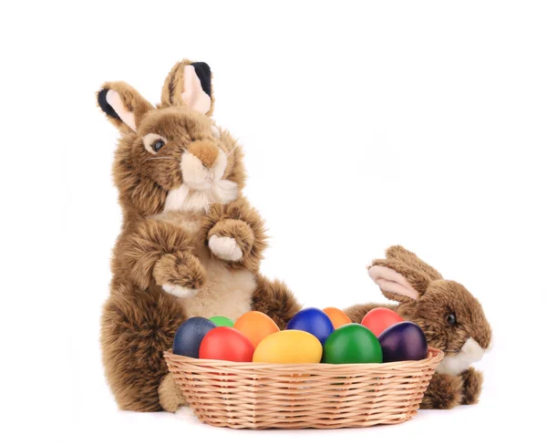 Conejo en cesta con huevos de Pascua . — Foto de Stock