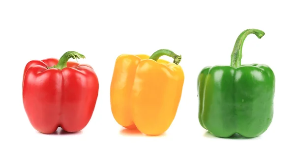 Colored peppers over white background. — Stock Photo, Image