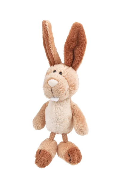 Flauschiger Osterhase. — Stockfoto