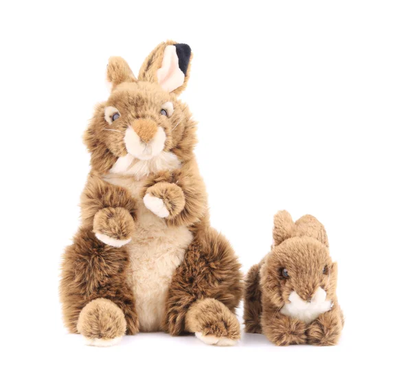 Fluffy easter rabbits. — Stock Photo, Image