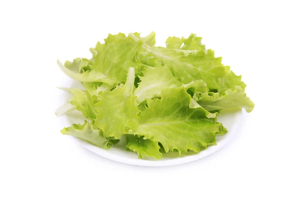 Fresh lettuce on plate. — Stock Photo, Image