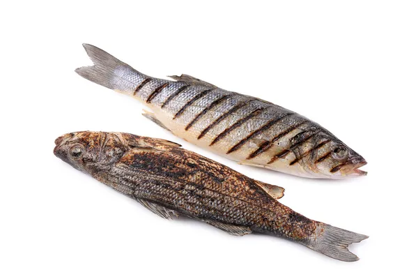 Ryby dwa labraksów z grilla. — Zdjęcie stockowe
