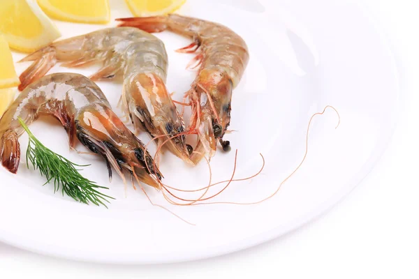 Shrimps with lemon — Stock Photo, Image