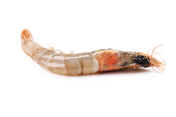 Fresh shrimp. — Stock Photo, Image