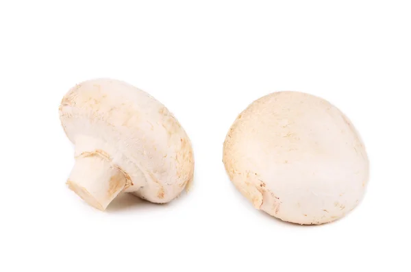 Witte champignons. — Stockfoto